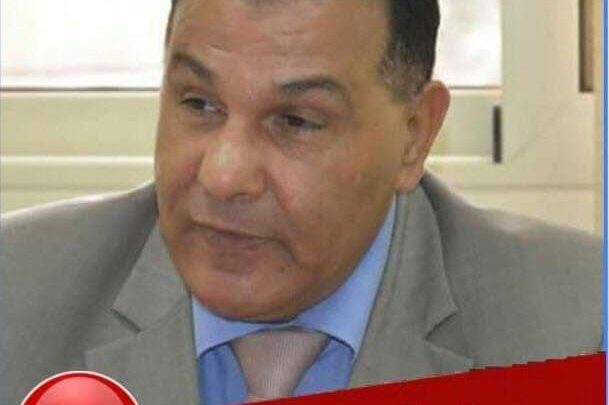 عبد الحميد: الجاليات المصرية تصطف لجانب الدولة ضد الإرهاب 1