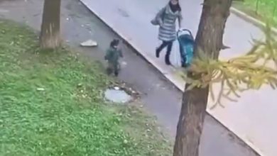 فيديو.. طفلة تسقط في بلاعة أمام عين أمها 1