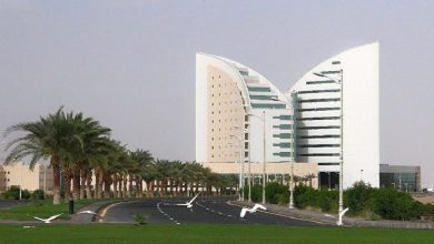 جامعة نجران