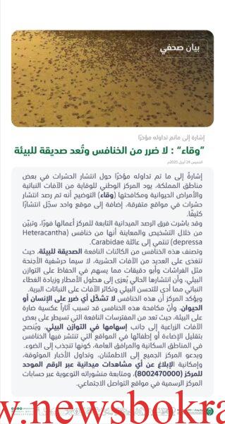 رصد انتشار الخنافس بعد مواقع في السعودية ! 3