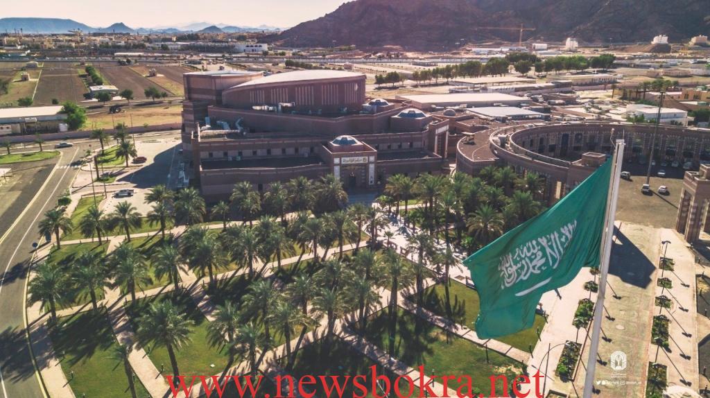 تخصصات جامعة طيبة وأبرز الكليات المتاحة للشعبتين 1 تخصصات جامعة طيبة وأبرز الكليات المتاحة للشعبتين 1