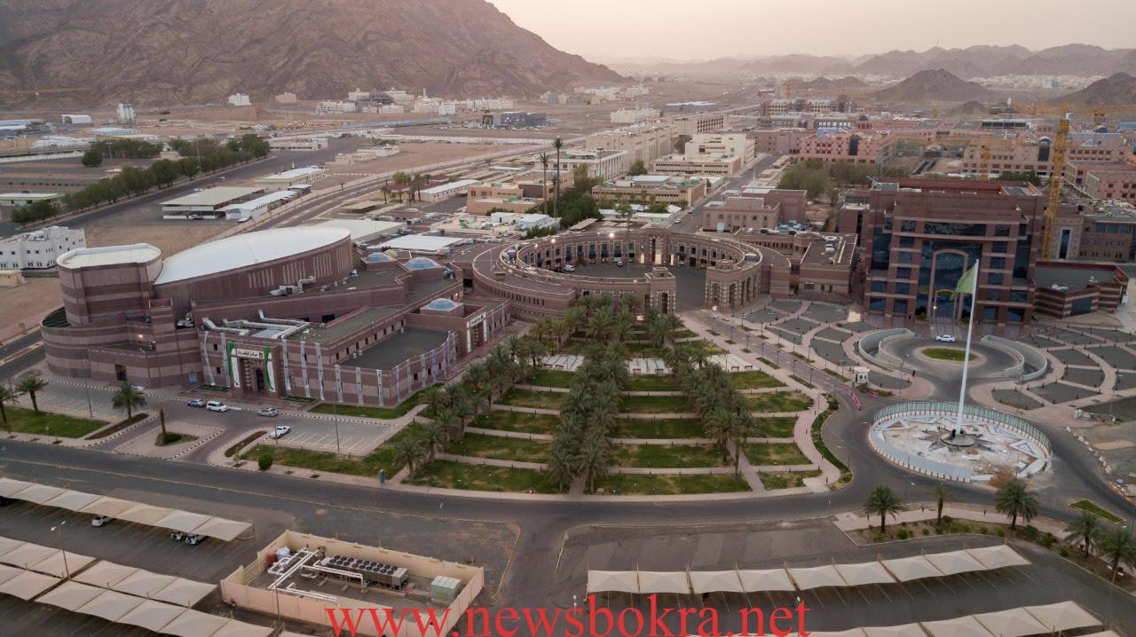 بلاك بورد جامعة طيبة.. آلية الاستفادة والتخصصات الدراسية 1