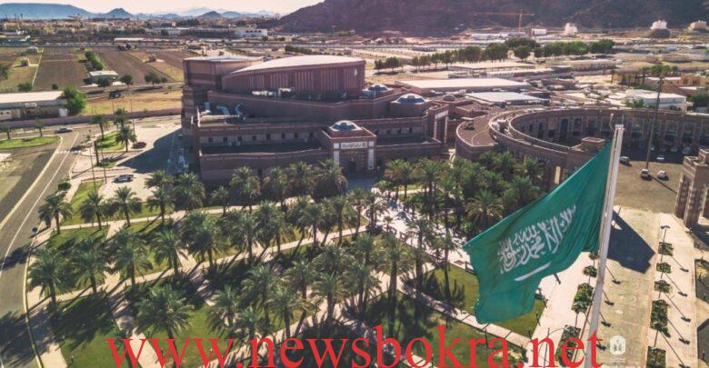 تخصصات جامعة طيبة وأبرز الكليات المتاحة للشعبتين 1 تخصصات جامعة طيبة وأبرز الكليات المتاحة للشعبتين 1