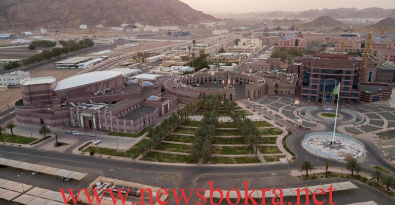 جامعة طيبة .. طريقة تسجيل وحذف المقررات 1 جامعة طيبة .. طريقة تسجيل وحذف المقررات 1