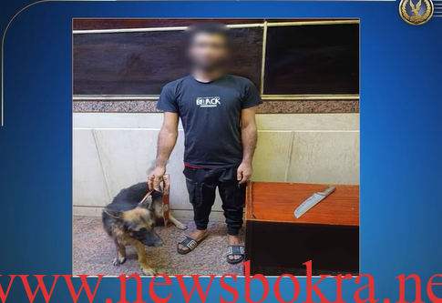 بسلاح أبيض وكلب.. عاطل يروع الأهالي بالجيزة فيديو 1 بسلاح أبيض وكلب.. عاطل يروع الأهالي بالجيزة فيديو 1