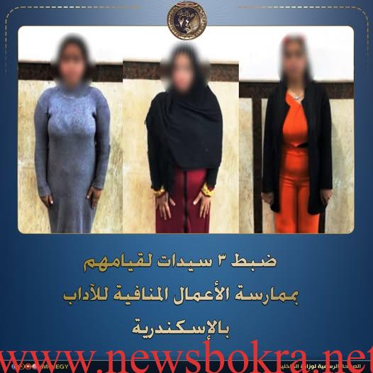 إعلانات منافية عبر الهاتف تقود لضبط 3 سيدات بالإسكندرية 1