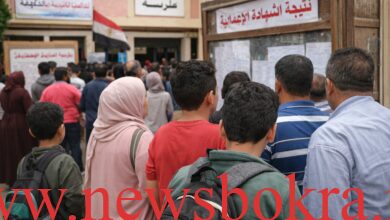 نتيجة الشهادة الإعدادية الإسماعيلية