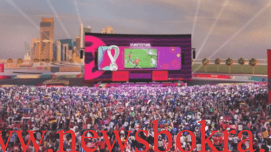 كيفية حجز تذاكر الفان زون في العاصمة الجديدة لمشاهدة مباريات مصر في كأس العالم 2026 3 كيفية حجز تذاكر الفان زون في العاصمة الجديدة
