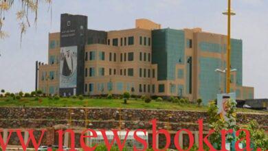 بلاك بورد جامعة الملك خالد
