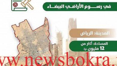 رسوم الأراضي البيضاء في السعودية 2026.. النسب الجديدة والفئات المستحقة وموعد السداد 6 رسوم الأراضي البيضاء